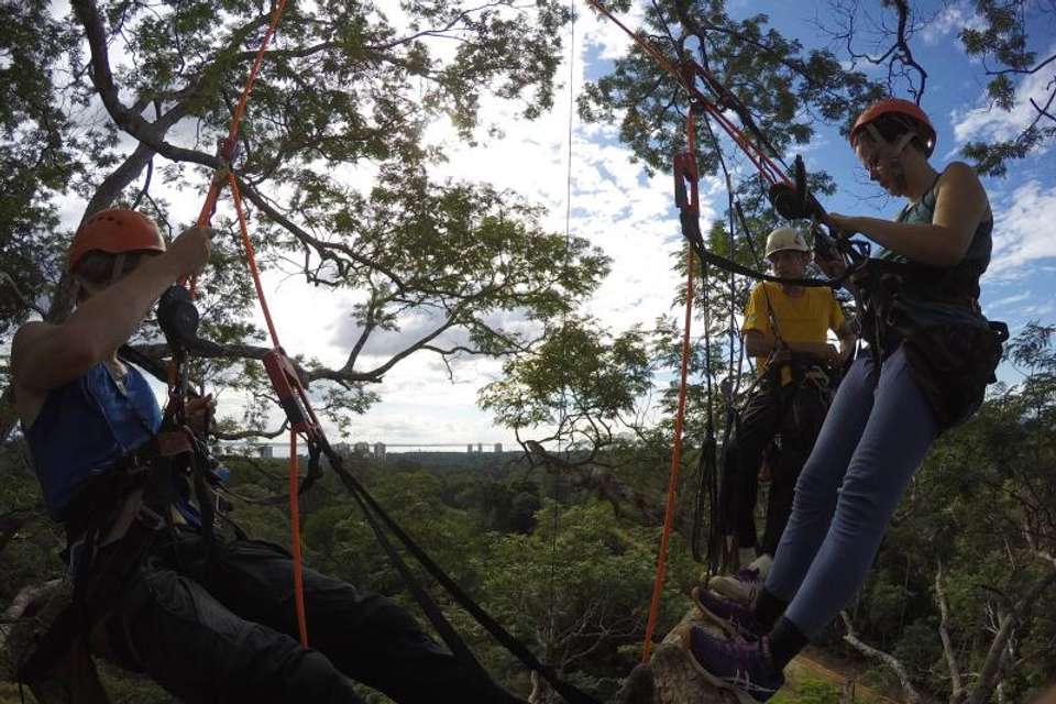 Tree Climbing In Amazon - Tangol Tours - Brazil - Image 4