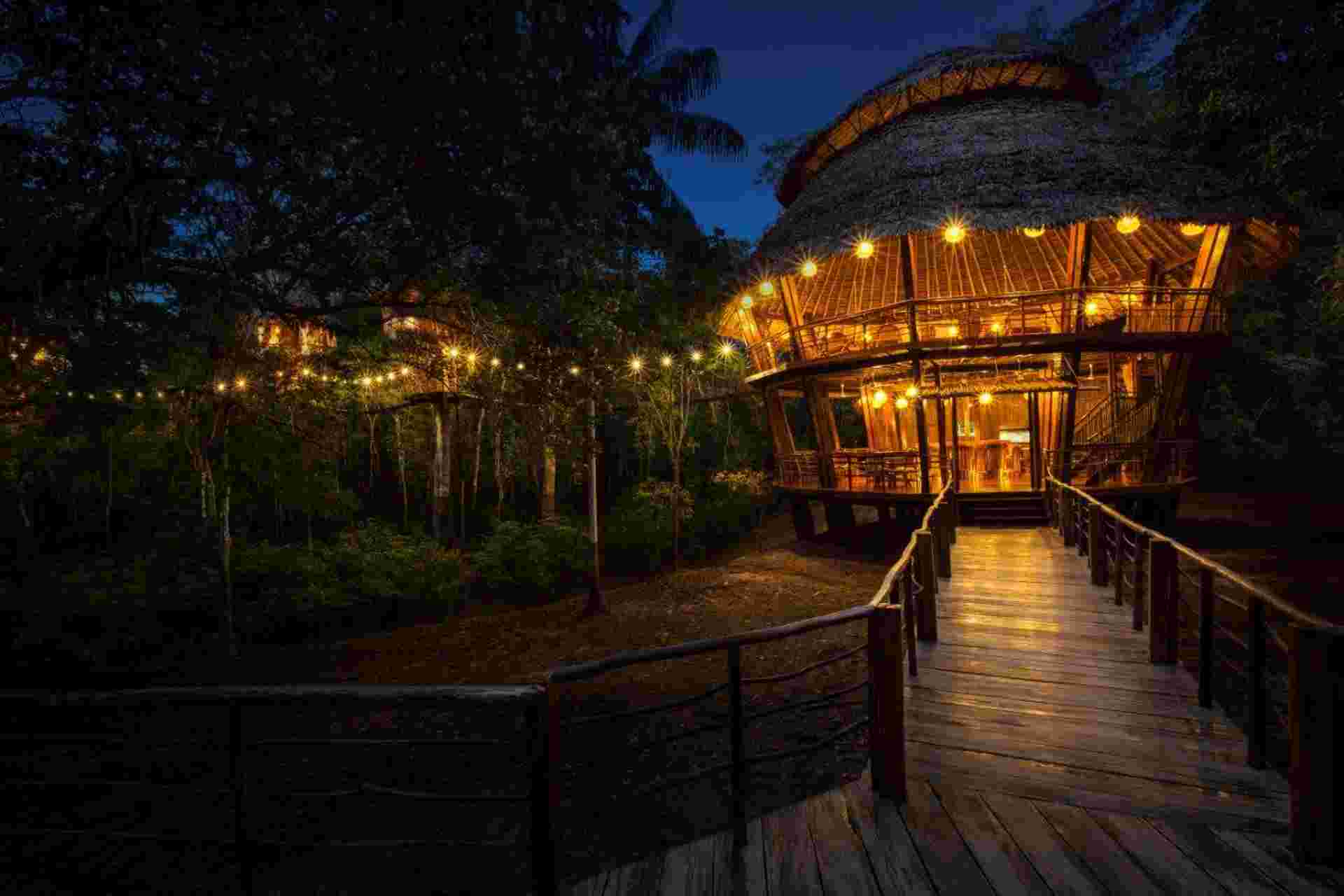 Treehouse Lodge, Short Break (on Request)