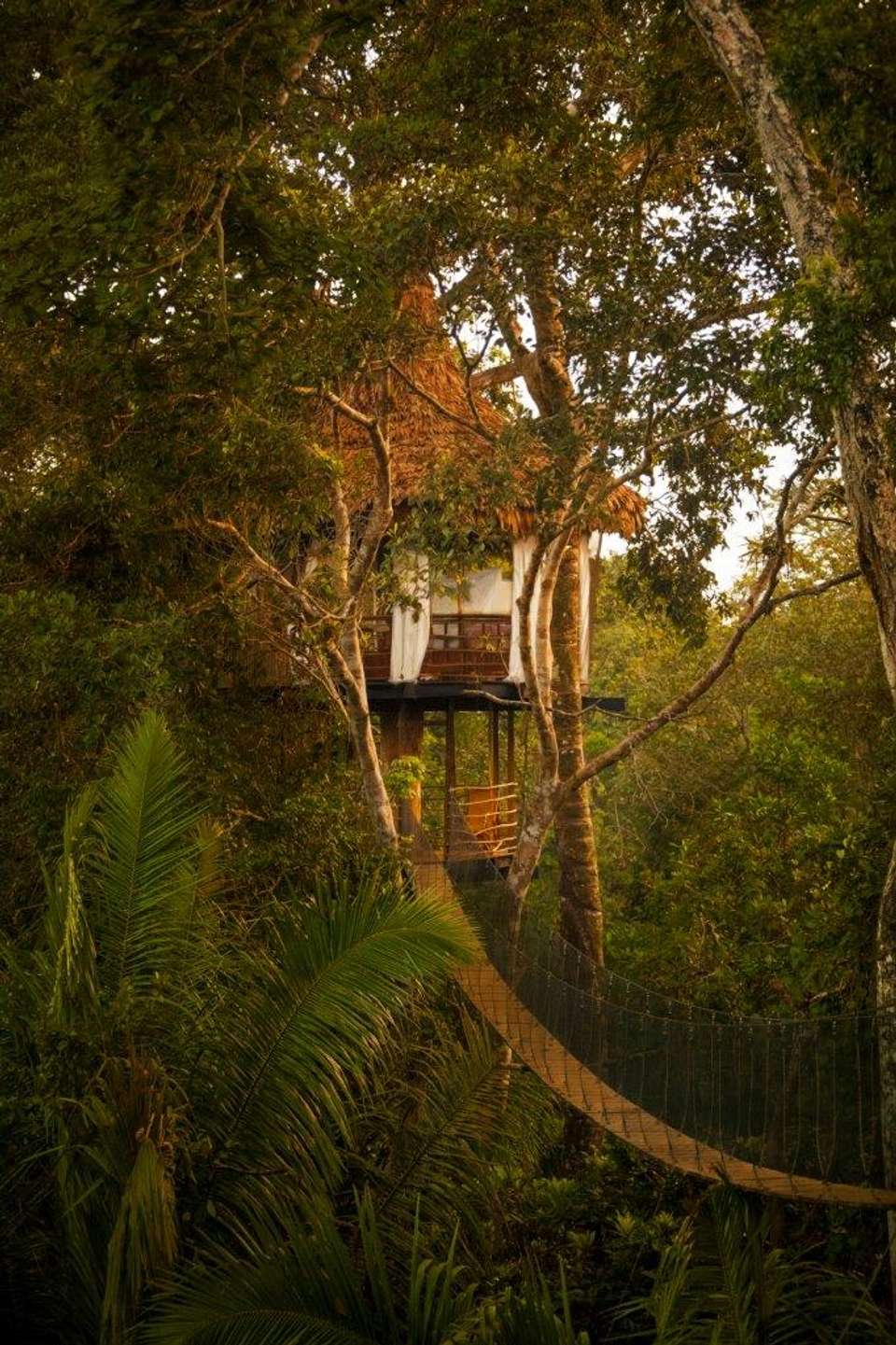 Treehouse Lodge, Short Break (on Request) - Destination Services - Peru - Image 4