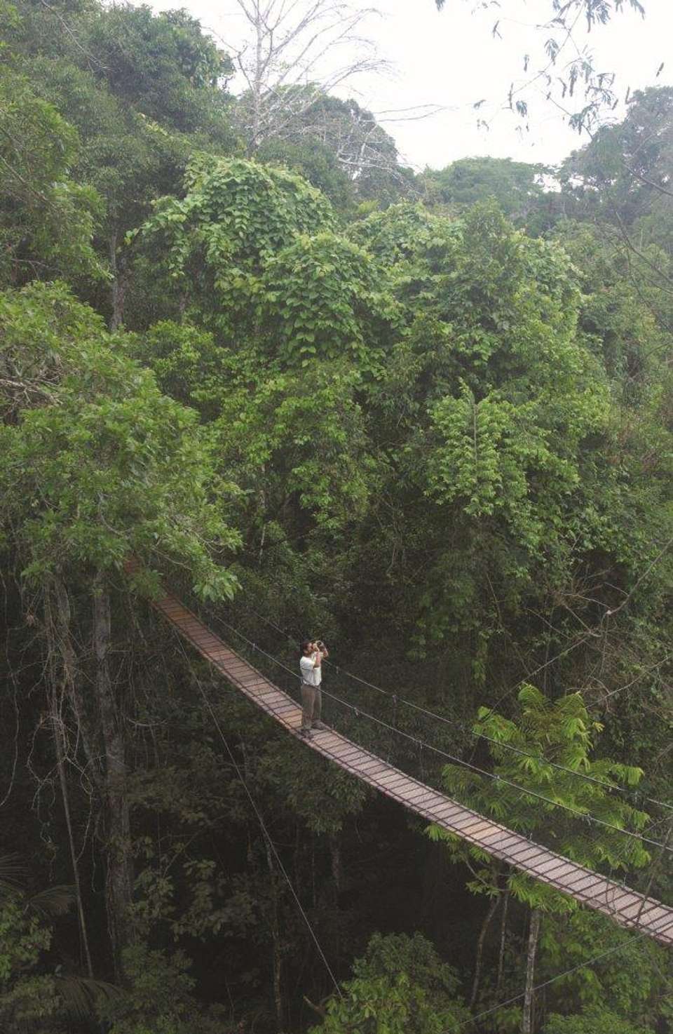 Treehouse Lodge, Short Break (on Request) - Destination Services - Peru - Image 9