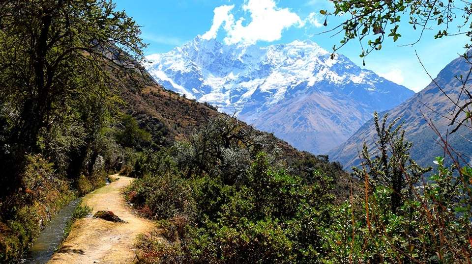 Trek along Salkantay to Machu Picchu - Inkayni Peru Tours - Peru - Image 2