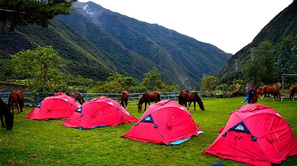 Trek along Salkantay to Machu Picchu - Inkayni Peru Tours - Peru - Image 6