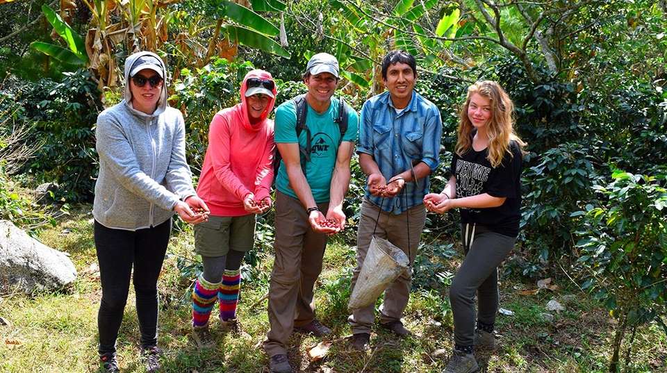 Trek along Salkantay to Machu Picchu - Inkayni Peru Tours - Peru - Image 7
