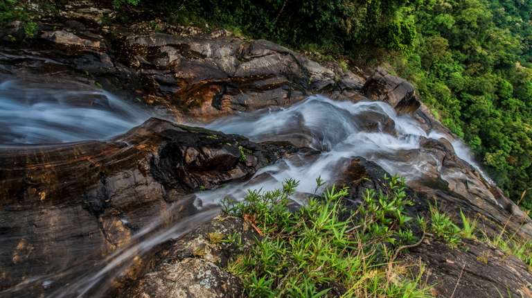 Trek in Bach Ma National Park from Hue City trip - alternative tour available