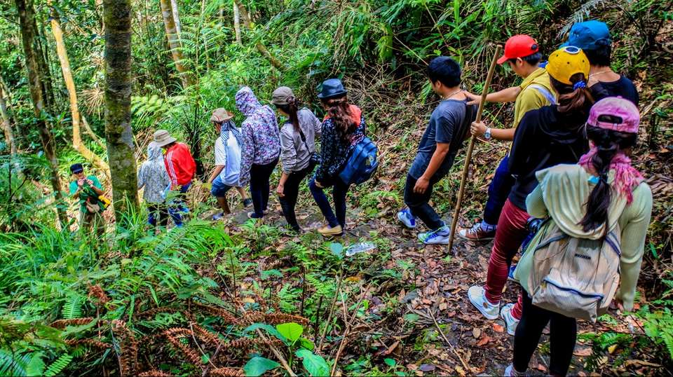 Trek in Bach Ma National Park from Hue City - Hgh Travel - Vietnam - Image 3