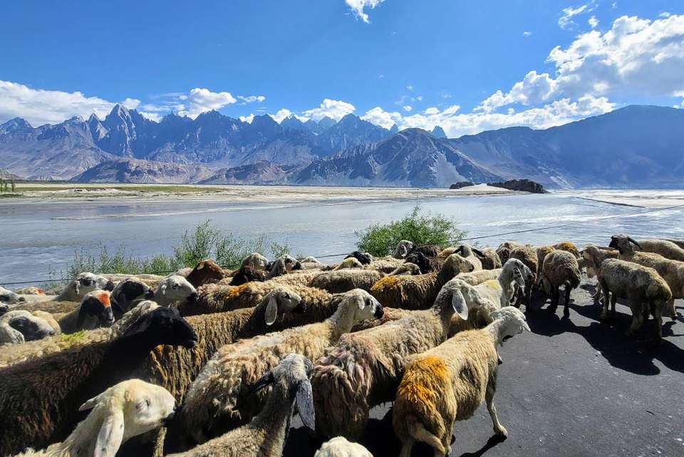 Trek Pakistan's Nangma Valley and Karakoram Mountains - Intrepid Travel - Pakistan - Image 7