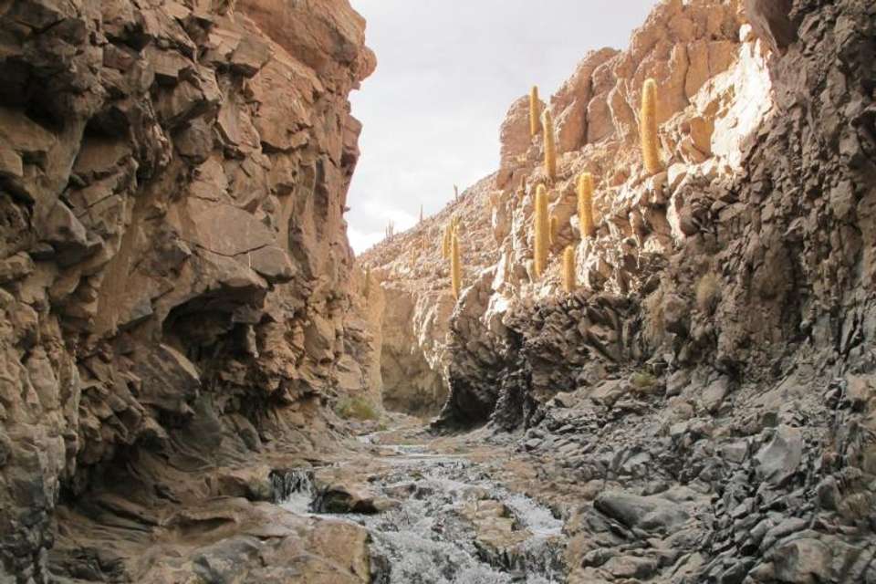 Trek Puritama Canyon & Guatin Natural Exploration - undefined - Image 3