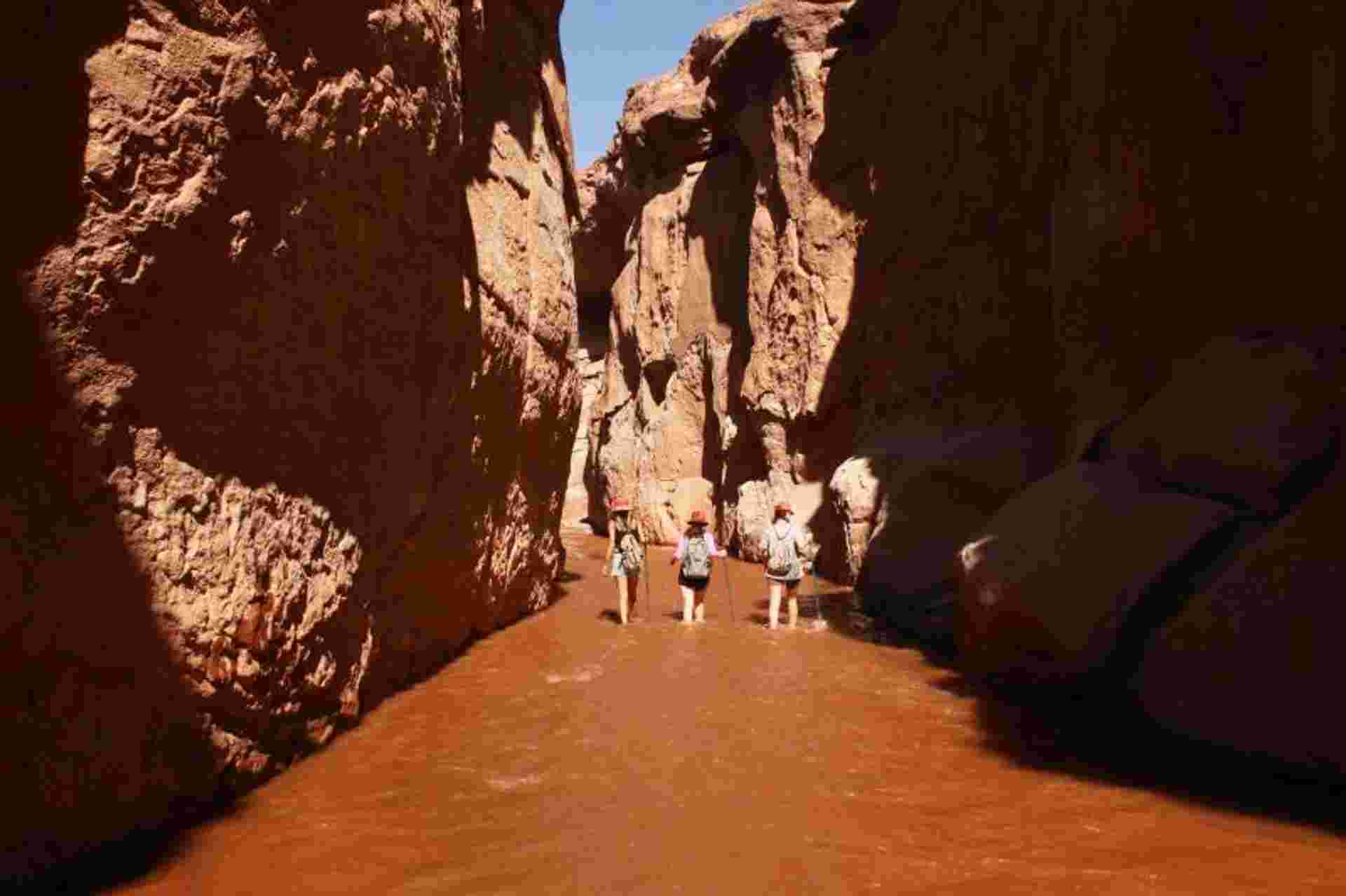 Trek Rio Salado Natural Challenge in San Pedro de Atacama