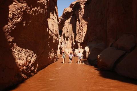 Trek Rio Salado Natural Challenge In San Pedro De Atacama - August 2026