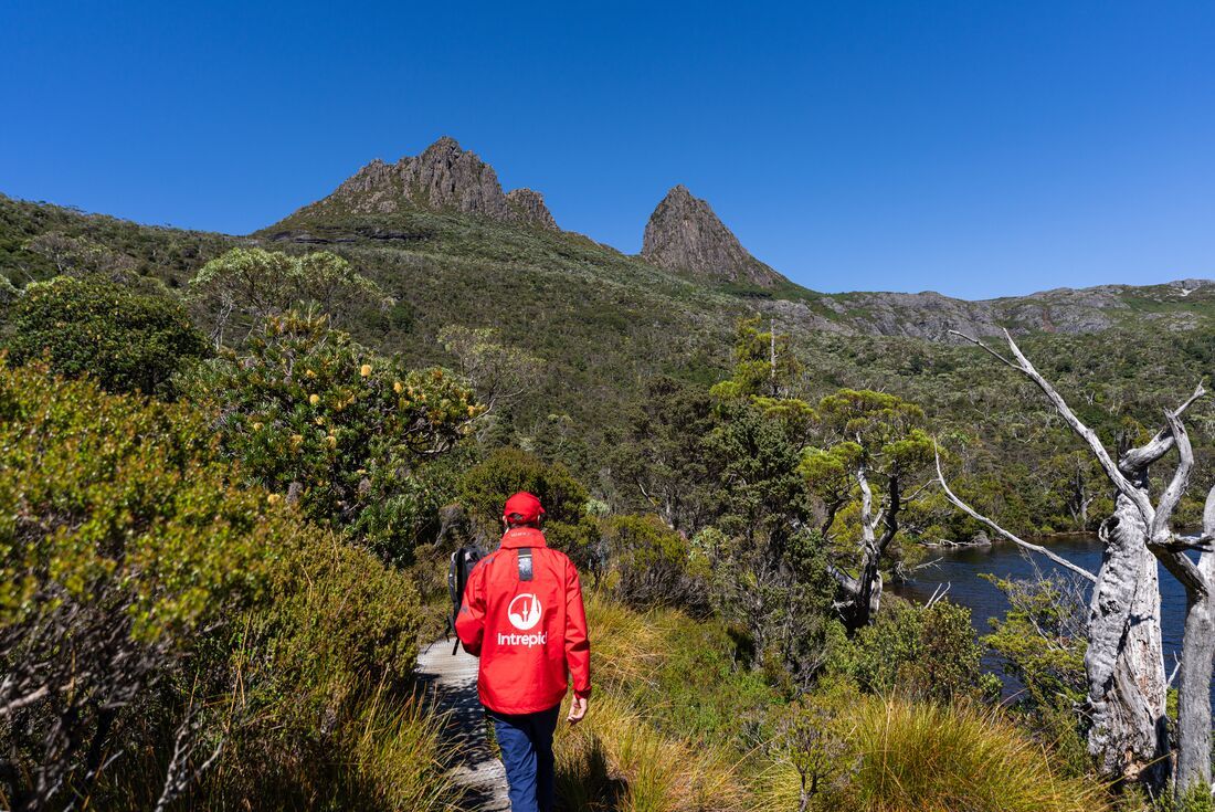 Trek the Cradle Mountain Overland Track Tour by Intrepid Travel