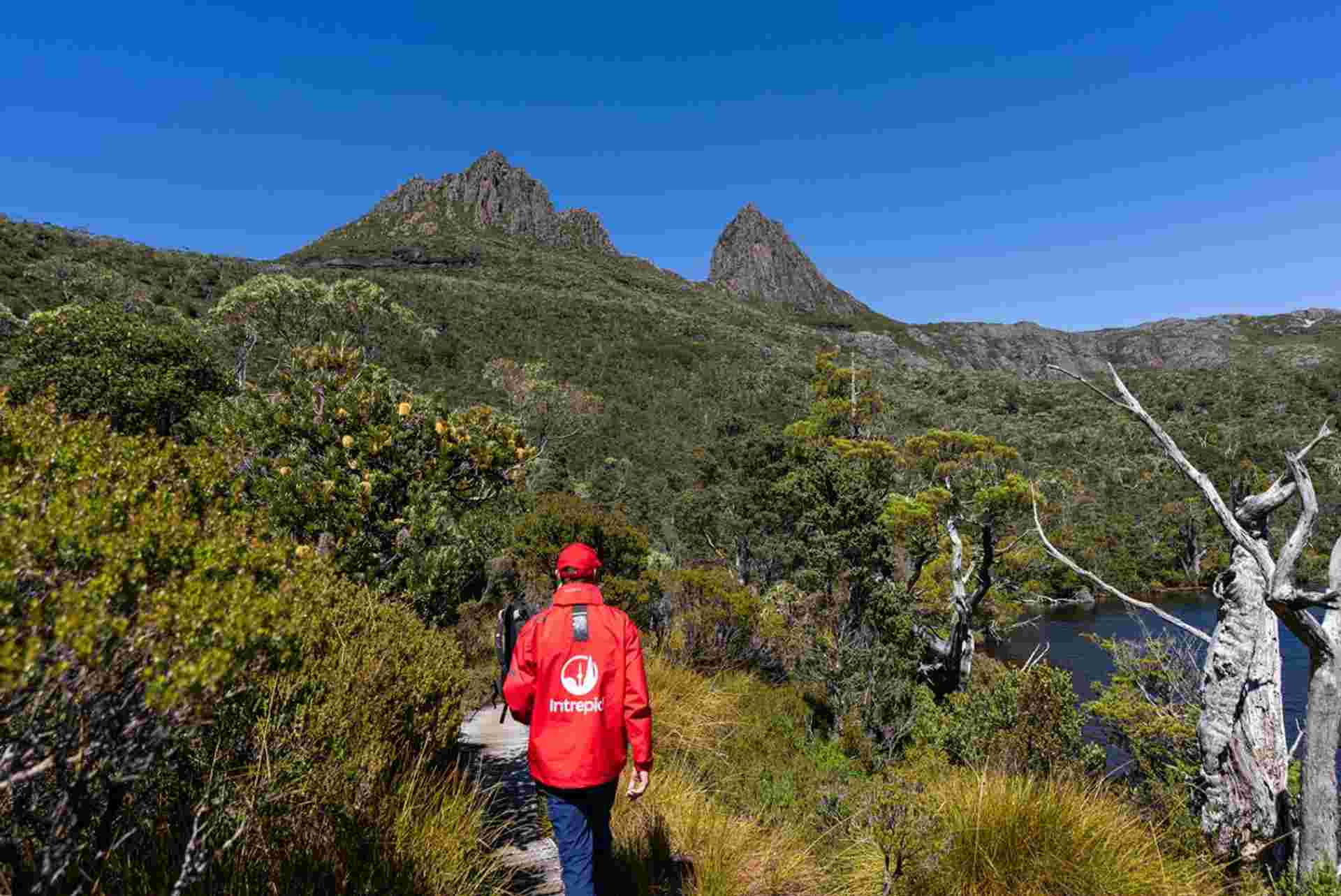 Trek the Cradle Mountain Overland Track