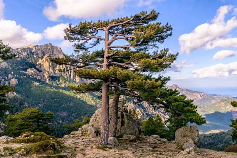 France Travel Deals: Trek The Gr20 Of Corsica