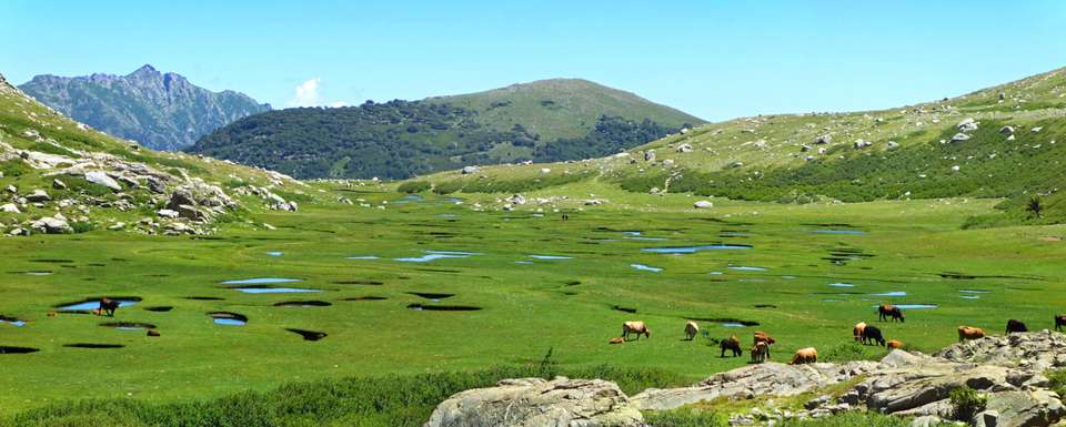 Trek the GR20 of Corsica - Exodus Adventure Travels - France - Image 14