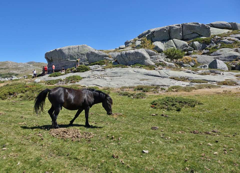 Trek the GR20 of Corsica - Exodus Adventure Travels - France - Image 12