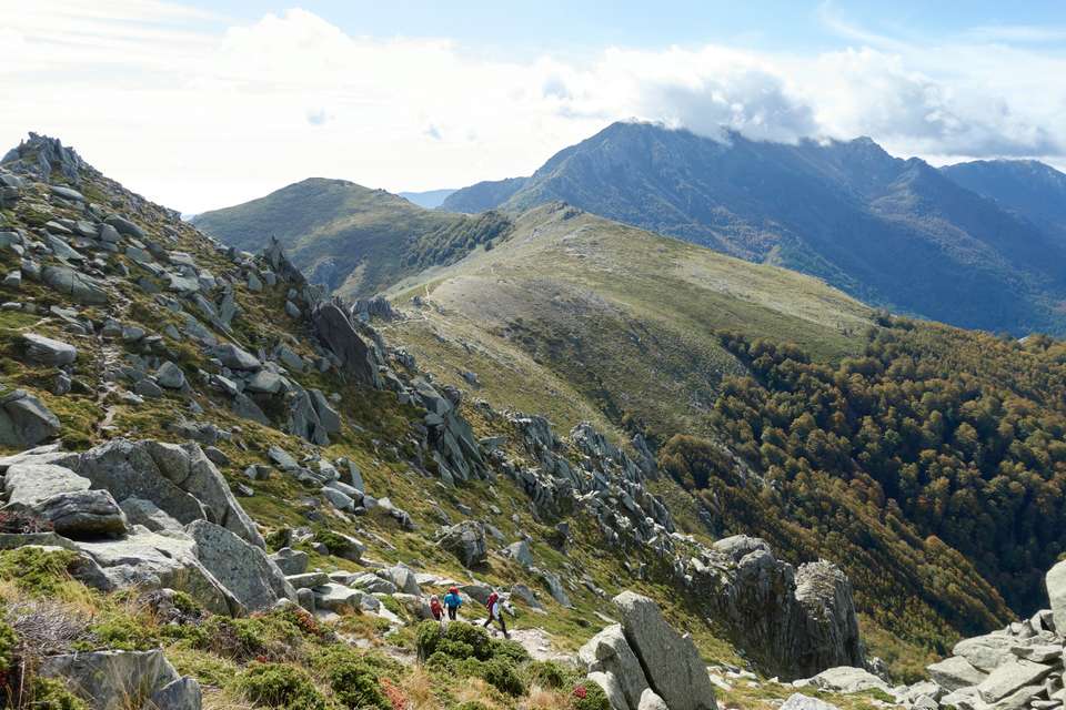 Image 14 of 24