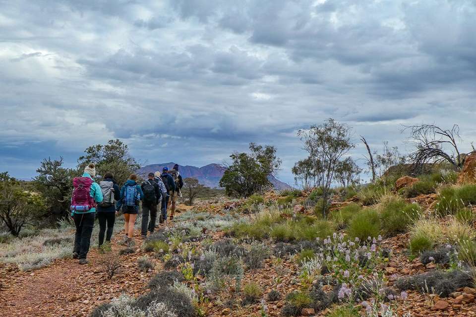 Hike the Larapinta Trail - Intrepid Travel - Australia