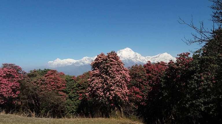 Trek to Siklis: 11 Days trip - alternative tour available