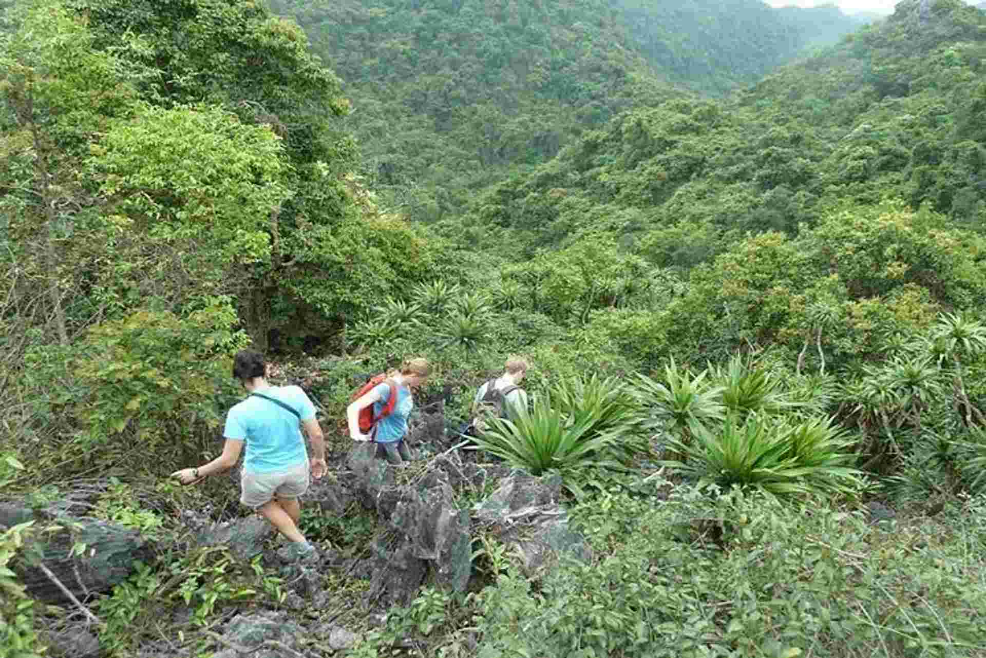 Adventure To Cat Ba And Lan Ha Bay 3 Days 2 Nights (old)