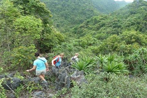 Hanoi Local Boat Rides Tour: Adventure To Cat Ba And Lan Ha Bay 3 Days 2 Nights (old)
