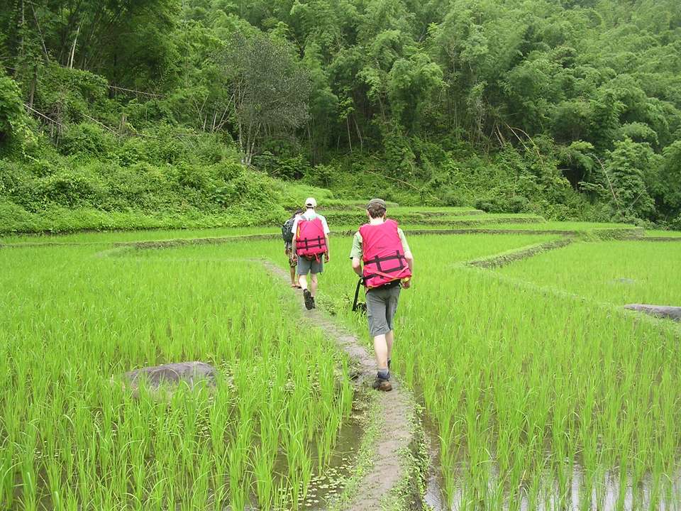 Trekking in Chiang Mai - 9 days - On The Go Tours - Thailand - Image 7