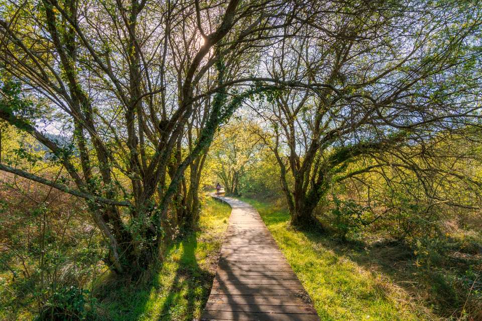Trekking the Camino de Santiago - Exodus Adventure Travels - Spain - Image 3
