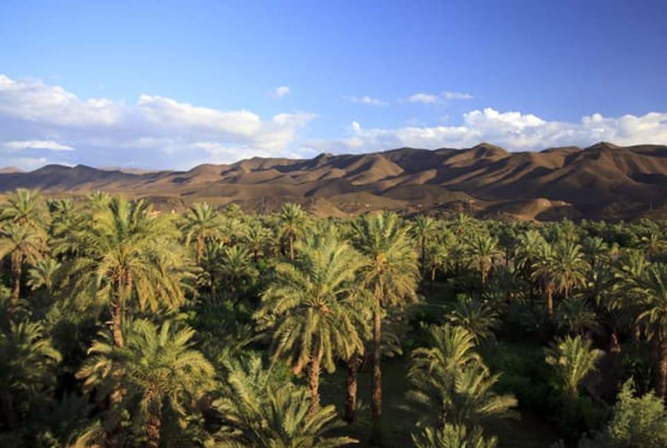 Trekking the Sahara - 9 days - On The Go Tours - Morocco - Image 5