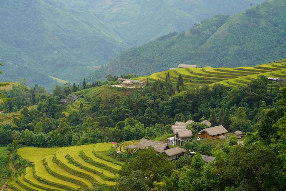 Hoang Su Phi Terraced Fields Trekking 4 Days 3 Nights - Mr Linh's Adventures - Vietnam - Image 7