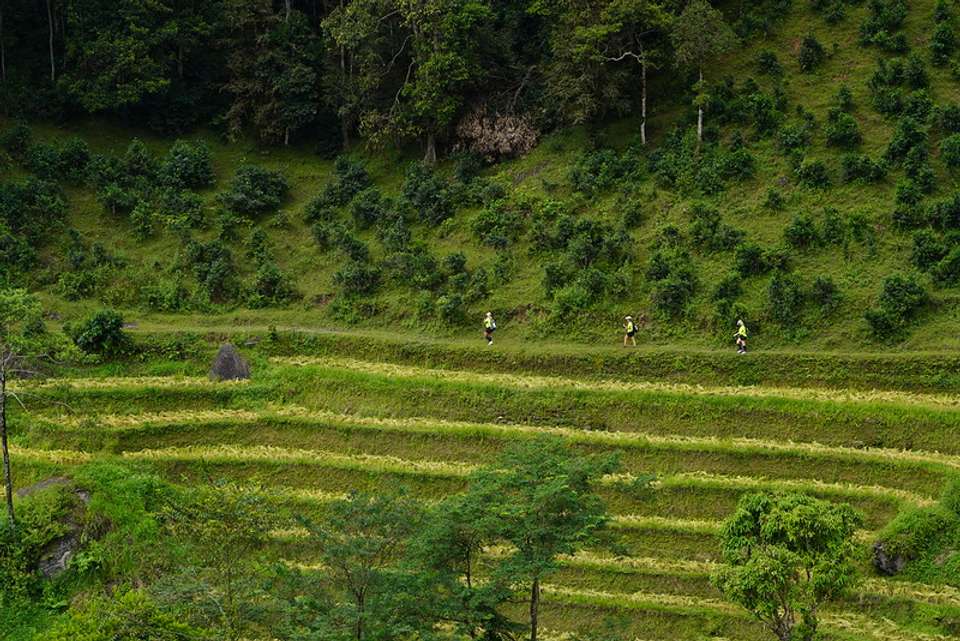 Hoang Su Phi Terraced Fields Trekking 4 Days 3 Nights - Mr Linh's Adventures - Vietnam - Image 11