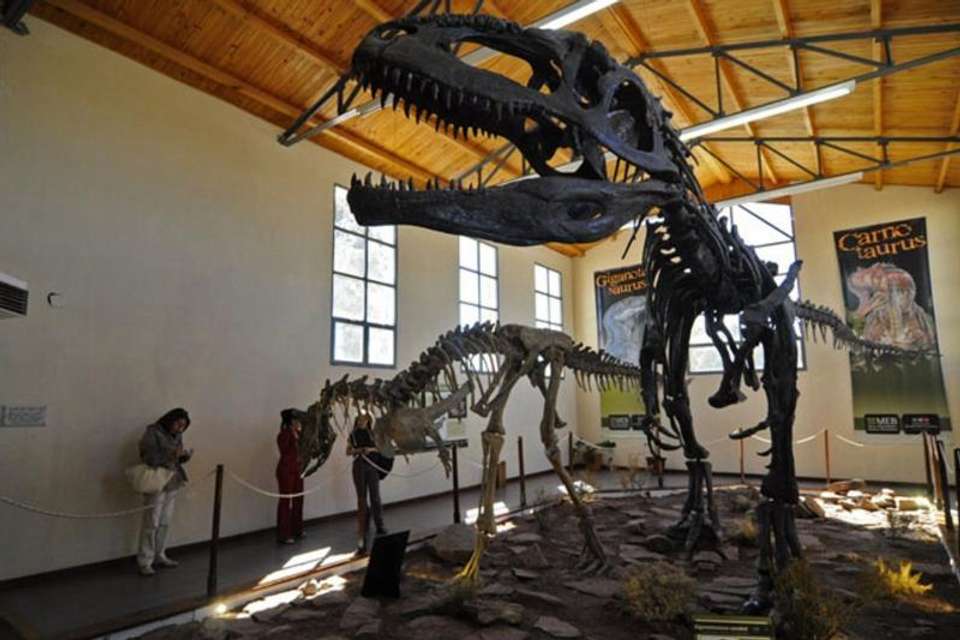 Trelew & Gaiman Sightseeing Tour - Tangol Tours - Argentina - Image 3