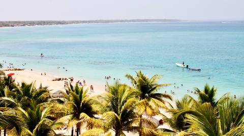 South America Honeymoon Packages: Tropical Getaway: Amazon Rainforest & Caribbean Coast