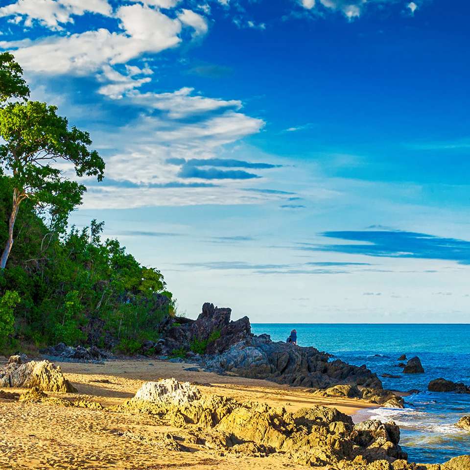 Tropical Reef and Rainforest - Aat Kings - Australia - Image 4