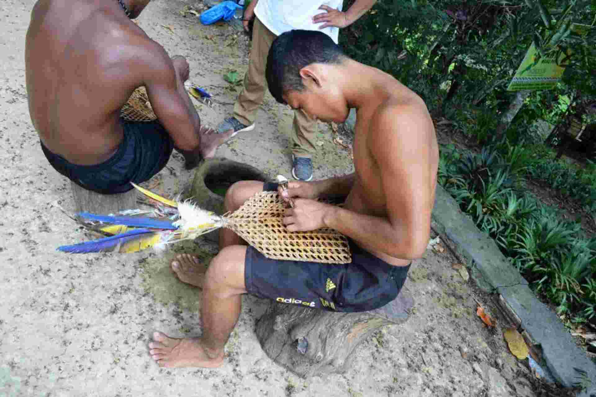 Tucandeira Ants Ritual in the Amazon
