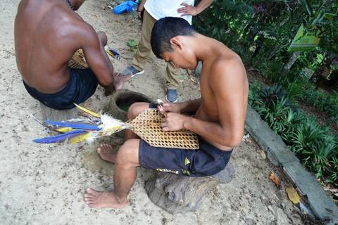 Manaus Explorer Tour: Tucandeira Ants Ritual In The Amazon