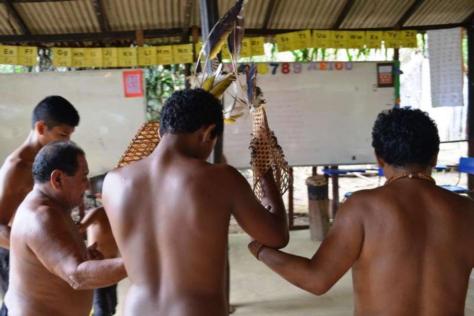 Tucandeira Ants Ritual in the Amazon - Tangol Tours - Brazil - Image 4