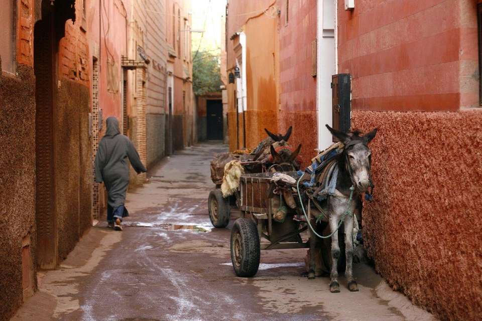 Tui Tours | Imperial Cities Of Morocco, Small Group Tour - Destination Services - Morocco - Image 2