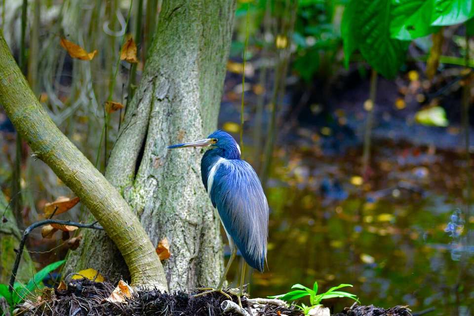 Tulum to Chichen Itza Short Break - Intrepid Travel - Mexico