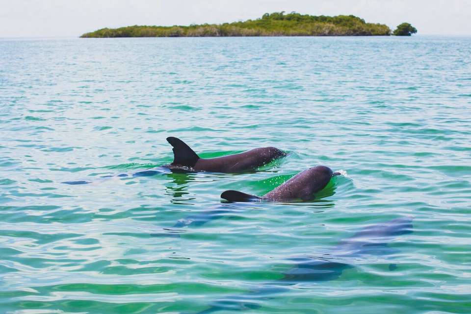 Tulum to Chichen Itza Short Break - Intrepid Travel - Mexico