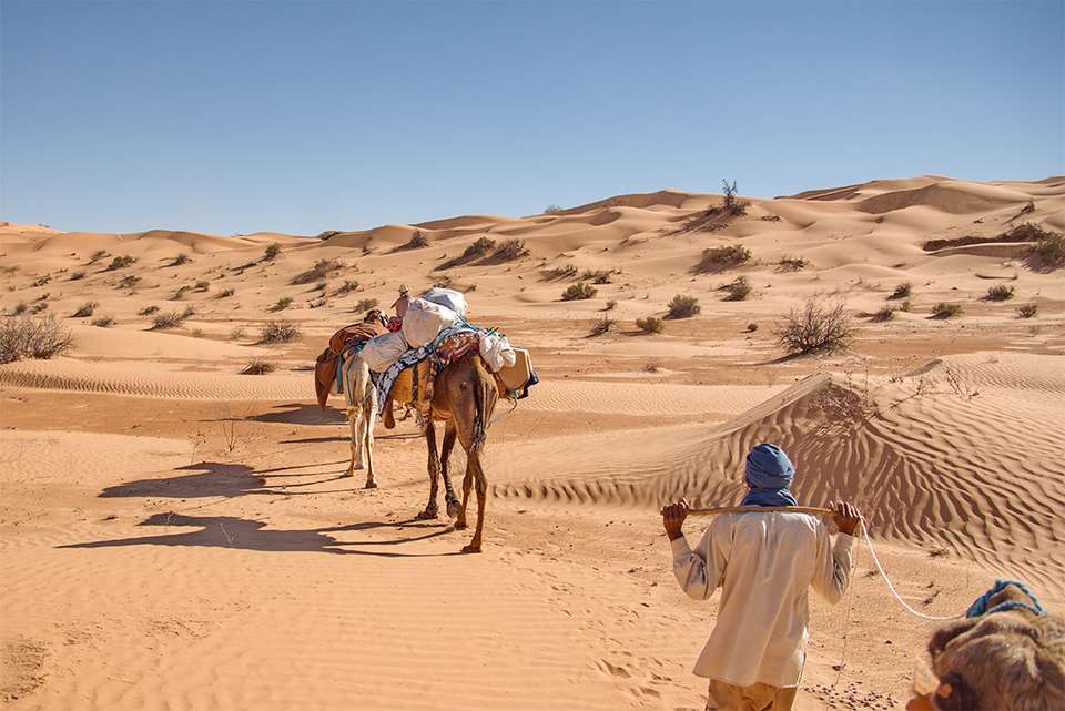 Tunisia Expedition - undefined - Image 4