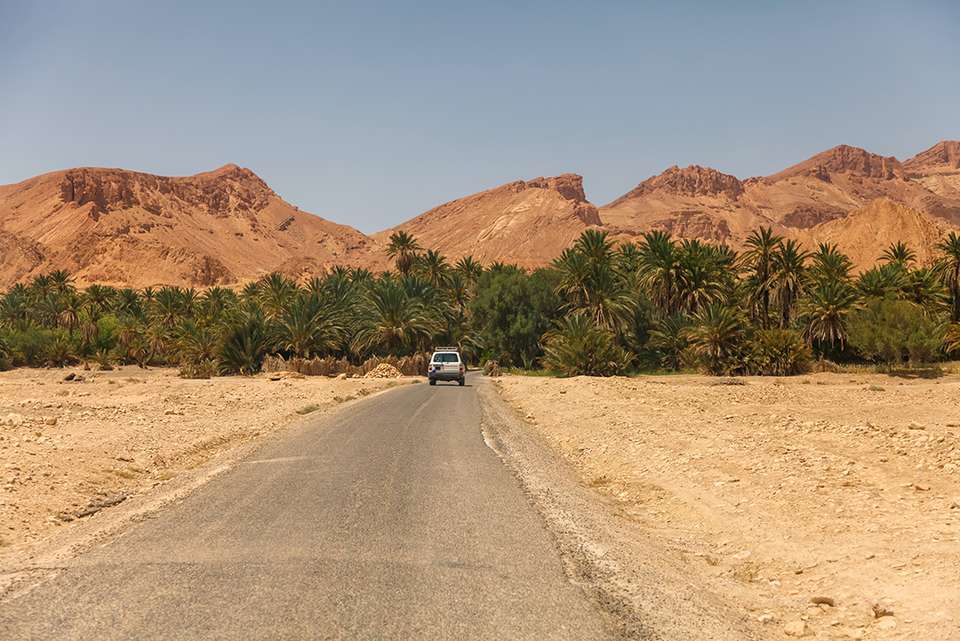 Tunisia Expedition - undefined - Image 8