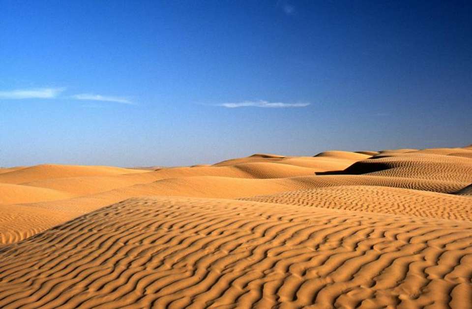 Tunisian Encounters - Encounters Travel - South Africa - Image 7