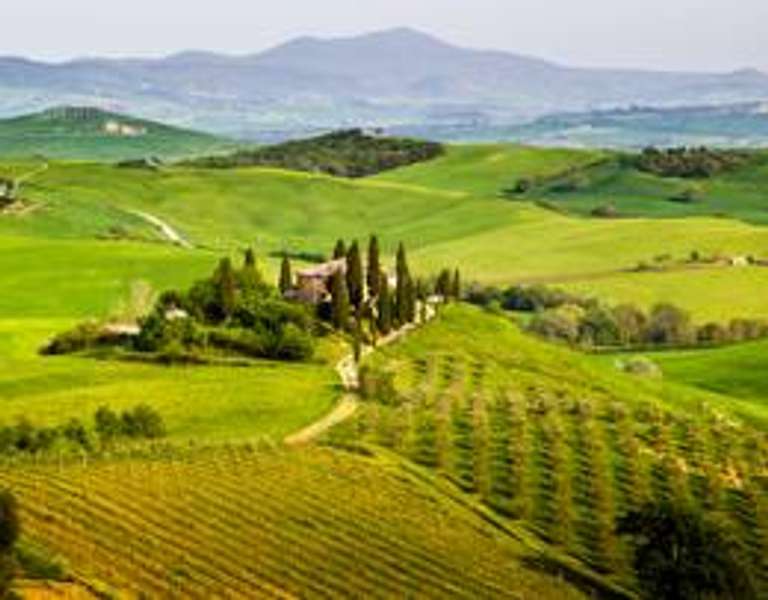 Tuscan Highlights & Wine - 3 days trip - alternative tour available