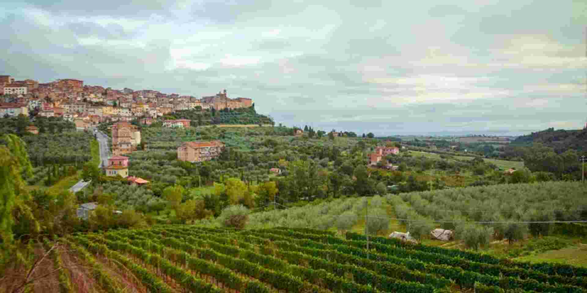 Tuscany to Cinque Terre: Wines, Villages & Unforgettable Walks