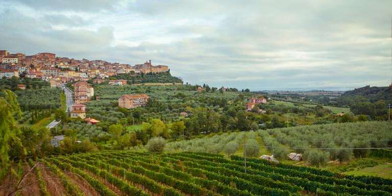 Tuscany to Cinque Terre: Wines, Villages & Unforgettable Walks trip - alternative tour available