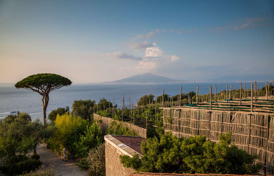 Tuscany to the Amalfi Coast: Italy by Land & Sea - G Adventures - Italy - Image 7