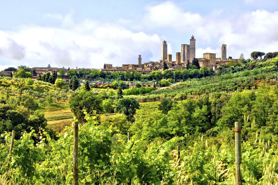 Tuscany Walks & Chianti Wines - Exodus Adventure Travels - Italy - Image 23