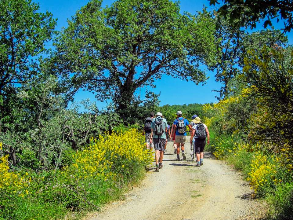 Tuscany Walks & Chianti Wines - Exodus Adventure Travels - Italy - Image 22