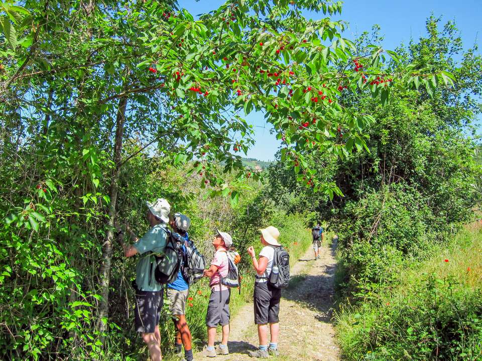 Tuscany Walks & Chianti Wines - Exodus Adventure Travels - Italy - Image 14
