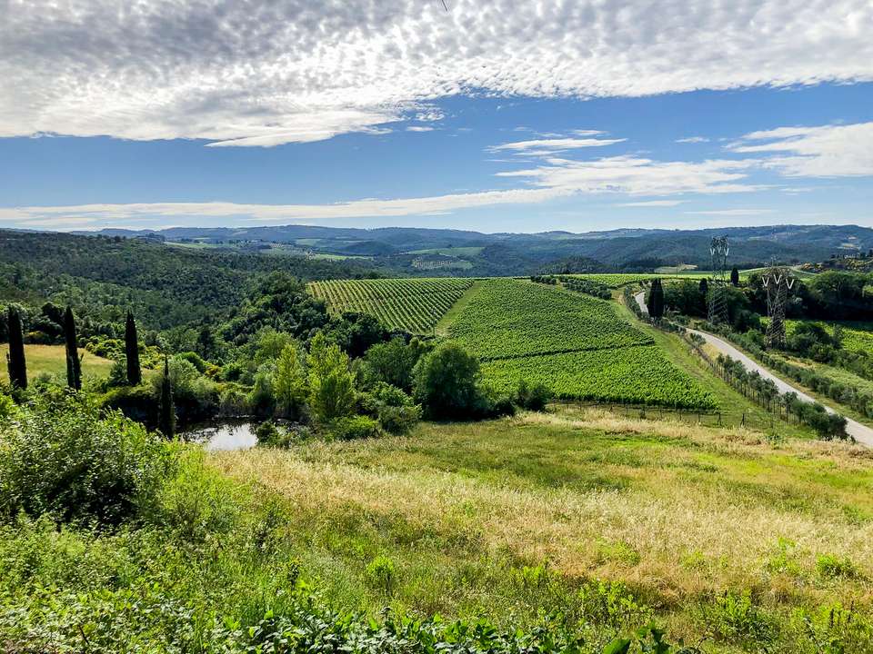 Tuscany Walks & Chianti Wines - Exodus Adventure Travels - Italy - Image 7