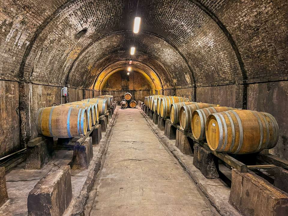 Tuscany Walks & Chianti Wines - Exodus Adventure Travels - Italy - Image 6