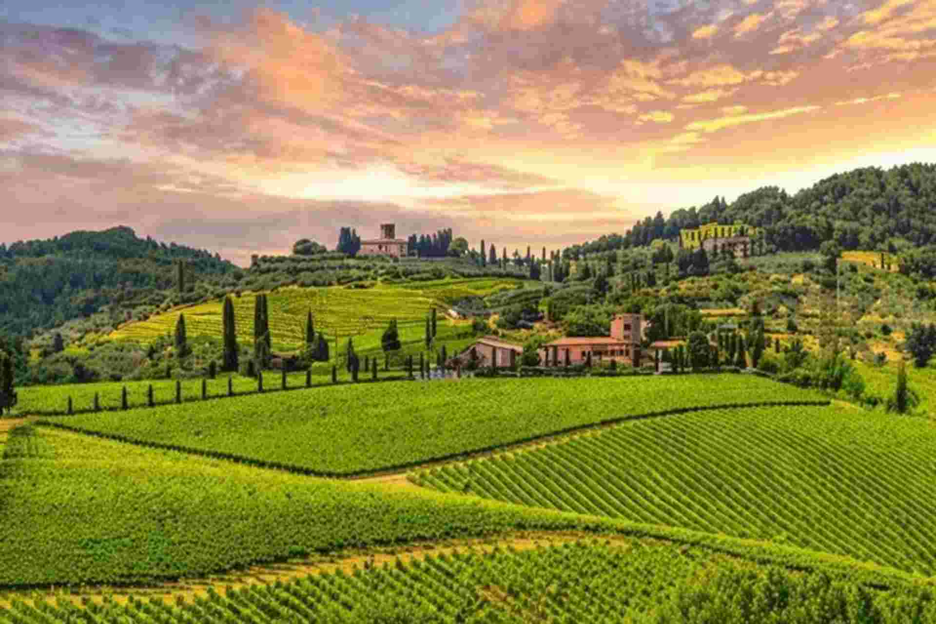 Tuscany Wellness & Cultural Escape